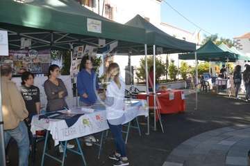 I Feria de Participación Ciudadana y del Voluntariado de Telde (Foto TA)
